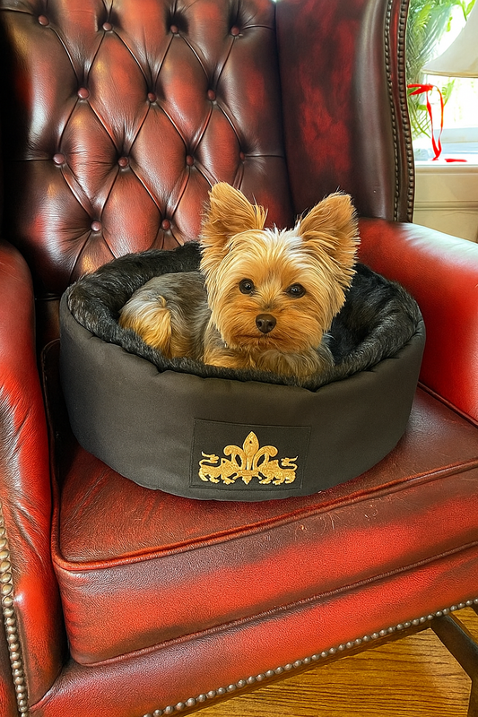 Pet Bed For Dogs And Cats Royal Paw