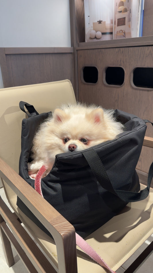 Back To Basics Dog Carrier 100% Waterproof