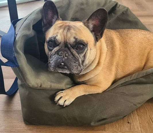 Downton Abbey Water-Repellent Waxed Cotton Dog Carrier