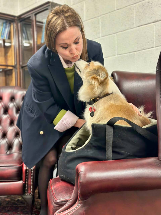 Fortress Windproof Dog Carrier