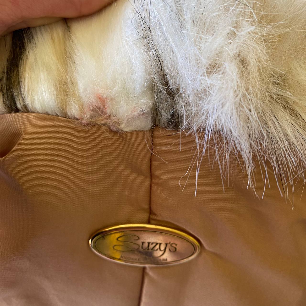 Winter dog carrier discontinued brand
