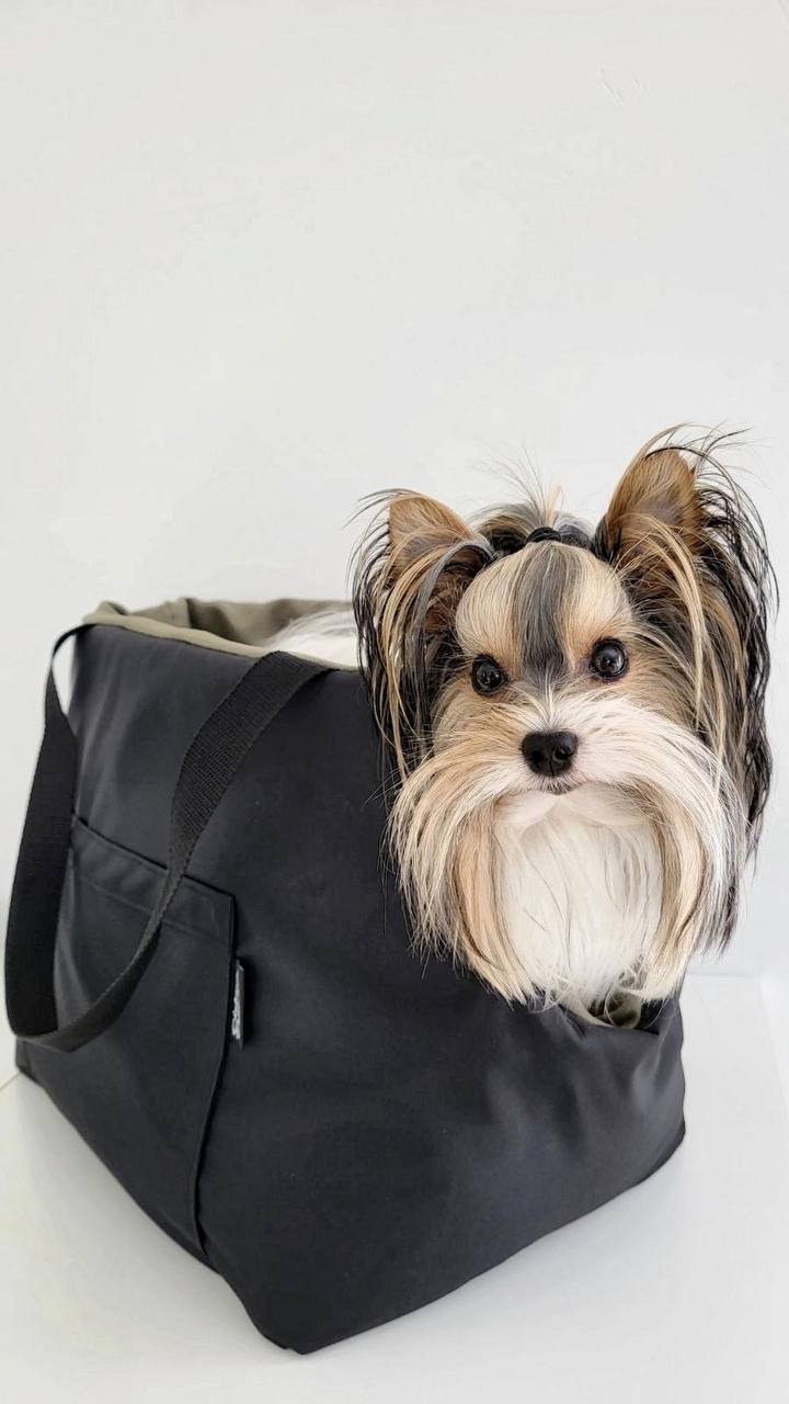 Panthera Black and Olive Dog Carrier