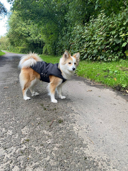 Dobby Waterproof Dog Jacket