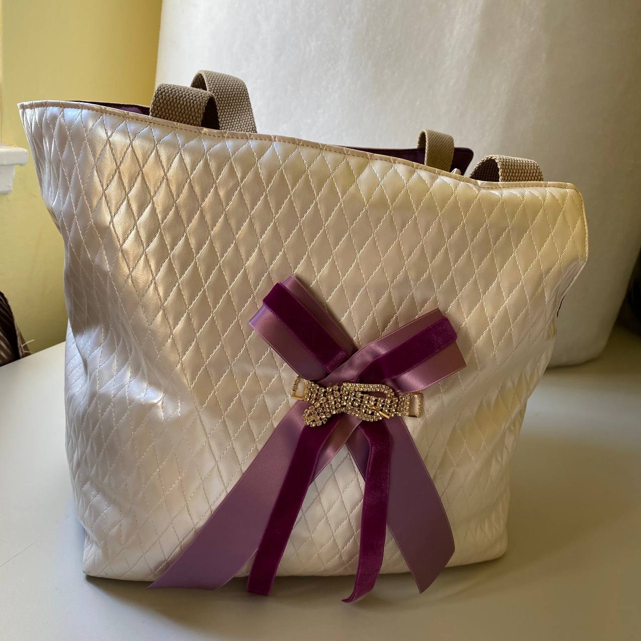 Dog Carrier discontinued brand